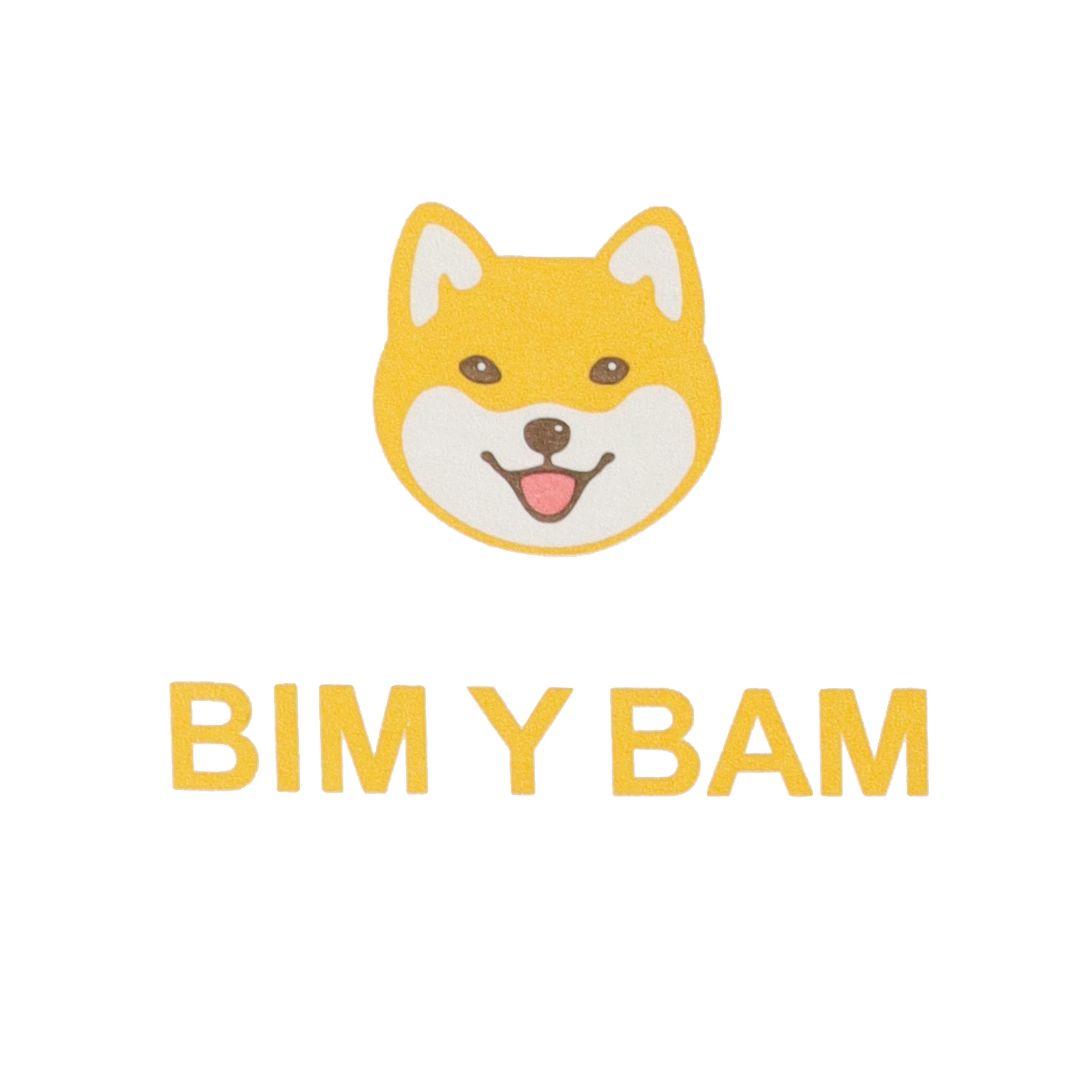 BIM Y BAM